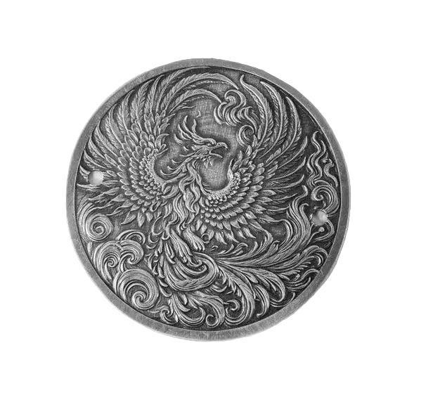 Point Cover Harley Sportster Phoenix - deciccoartstudio.com